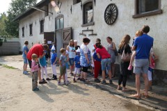 PSV_HM_Sommerfest2017_00002