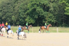 PSV_HM_Sommerfest2017_00008