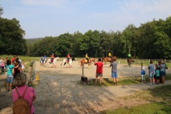 PSV_HM_Sommerfest2017_00012