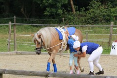 PSV_HM_Sommerfest2017_00025