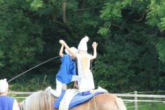 PSV_HM_Sommerfest2017_00026