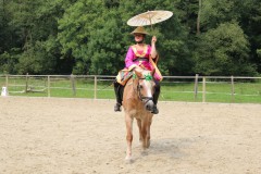PSV_HM_Sommerfest2017_00039