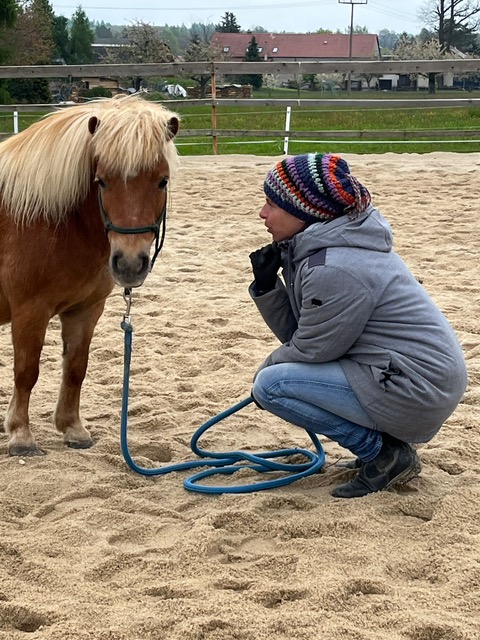 Therapeutisches Reiten