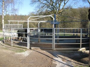 Führanlage