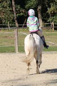 Reiten lernen für Jung und Alt
